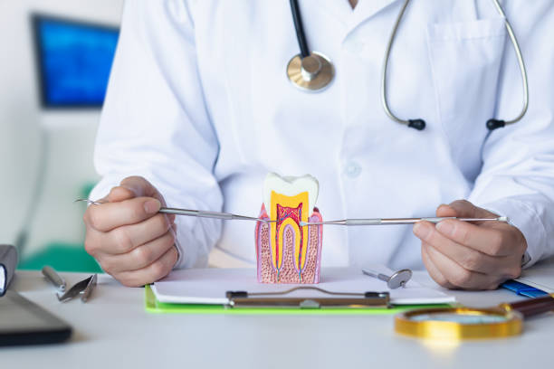Best Emergency Dentist for Special Needs Patients in Poth, TX